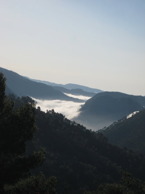 View from owner's house2