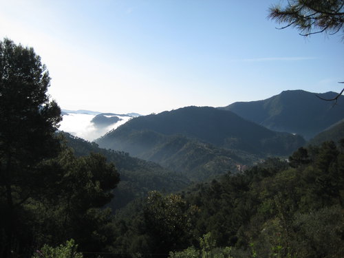 View from owner's house4